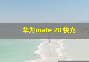 华为mate 20 快充