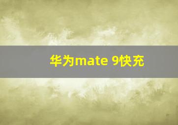 华为mate 9快充