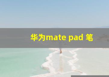 华为mate pad 笔