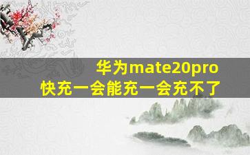 华为mate20pro快充一会能充一会充不了