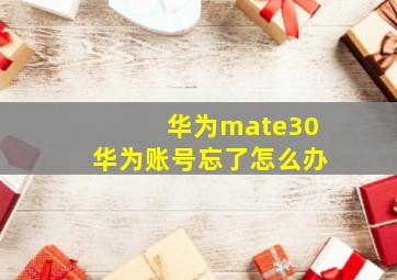 华为mate30华为账号忘了怎么办