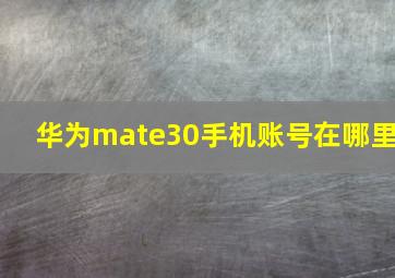 华为mate30手机账号在哪里