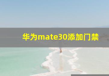 华为mate30添加门禁