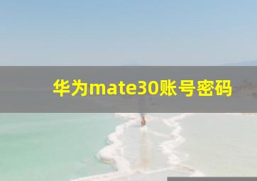 华为mate30账号密码