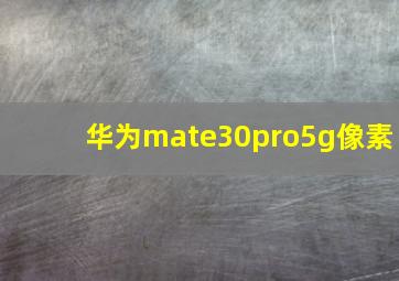 华为mate30pro5g像素