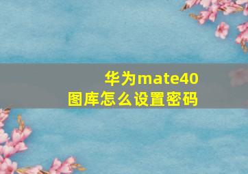 华为mate40图库怎么设置密码