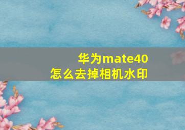 华为mate40怎么去掉相机水印