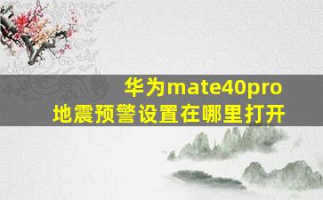 华为mate40pro地震预警设置在哪里打开