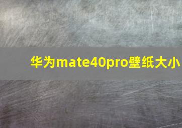 华为mate40pro壁纸大小