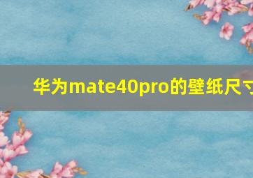 华为mate40pro的壁纸尺寸