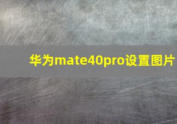 华为mate40pro设置图片