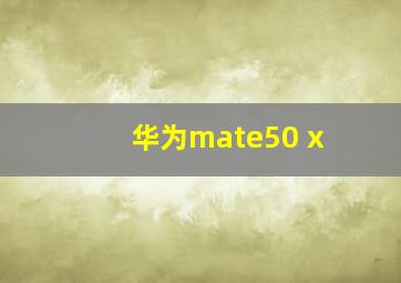 华为mate50 x