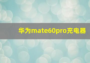 华为mate60pro充电器