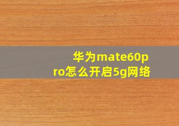 华为mate60pro怎么开启5g网络