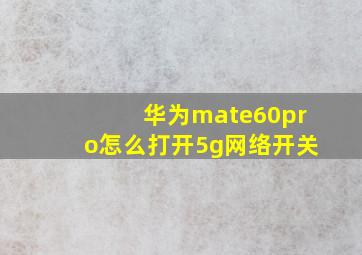 华为mate60pro怎么打开5g网络开关