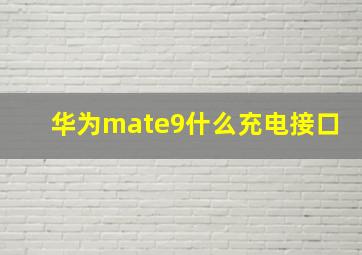 华为mate9什么充电接口