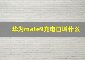 华为mate9充电口叫什么