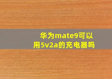 华为mate9可以用5v2a的充电器吗