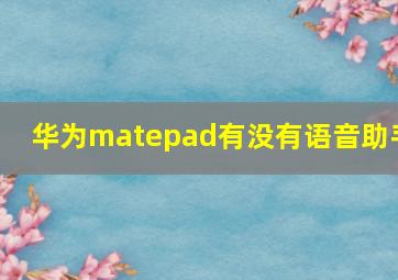 华为matepad有没有语音助手