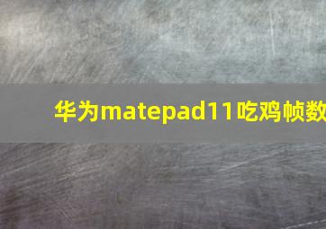 华为matepad11吃鸡帧数