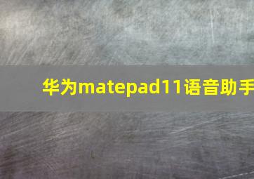 华为matepad11语音助手