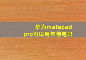 华为matepadpro可以用其他笔吗