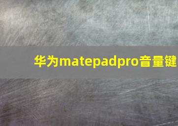 华为matepadpro音量键