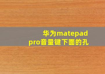 华为matepadpro音量键下面的孔