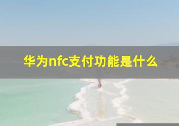 华为nfc支付功能是什么