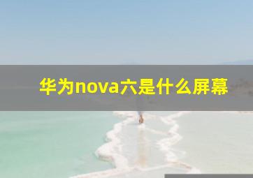 华为nova六是什么屏幕