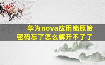 华为nova应用锁原始密码忘了怎么解开不了了