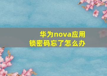 华为nova应用锁密码忘了怎么办