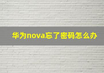 华为nova忘了密码怎么办