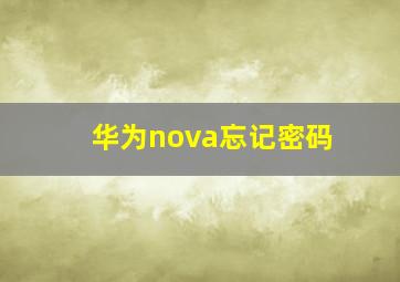 华为nova忘记密码