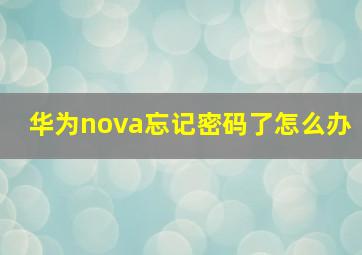 华为nova忘记密码了怎么办