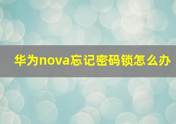 华为nova忘记密码锁怎么办