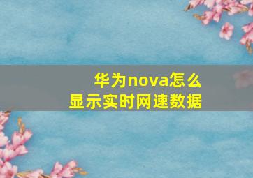 华为nova怎么显示实时网速数据