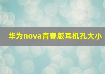 华为nova青春版耳机孔大小