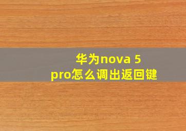 华为nova 5 pro怎么调出返回键