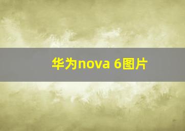 华为nova 6图片