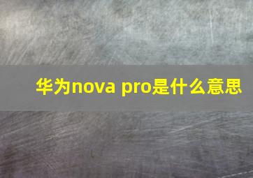 华为nova pro是什么意思