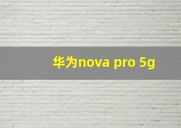 华为nova pro 5g