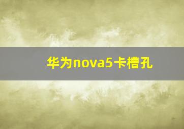 华为nova5卡槽孔