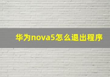 华为nova5怎么退出程序