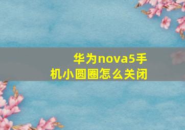 华为nova5手机小圆圈怎么关闭