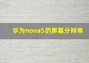 华为nova5的屏幕分辨率