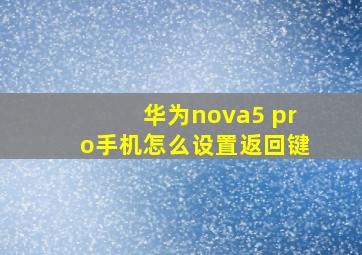 华为nova5 pro手机怎么设置返回键