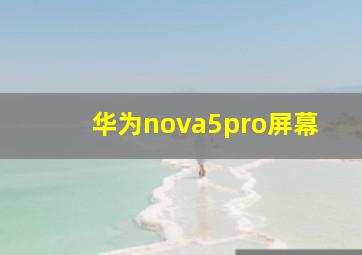 华为nova5pro屏幕