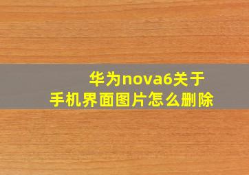 华为nova6关于手机界面图片怎么删除