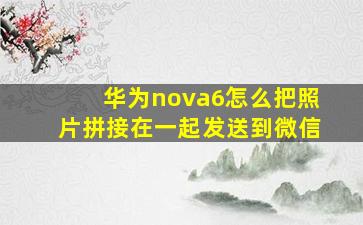 华为nova6怎么把照片拼接在一起发送到微信